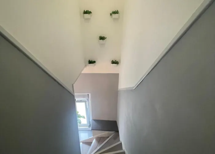 Dina House