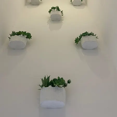 Apartamento Dina House *