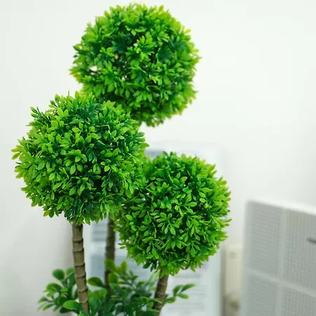 Apartamento Dina House