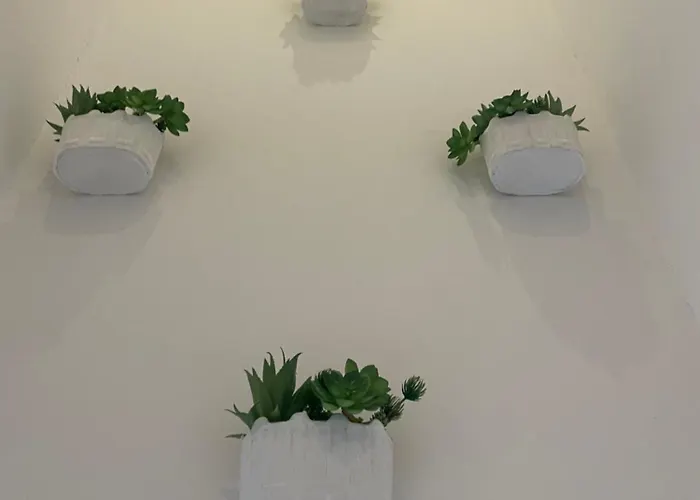 Appartement Dina House *