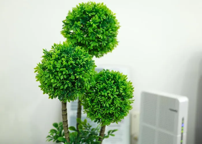 Appartement Dina House